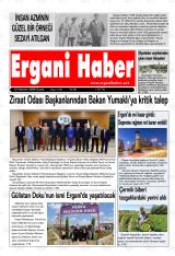 ERGANİ HABER