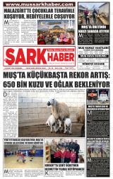 MUŞ ŞARK HABER